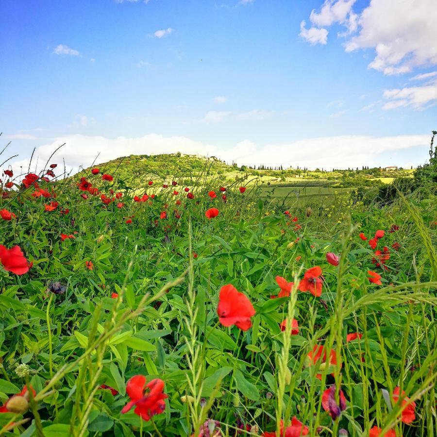 Agriturismo Casalpiano Πιέντσα Εξωτερικό φωτογραφία