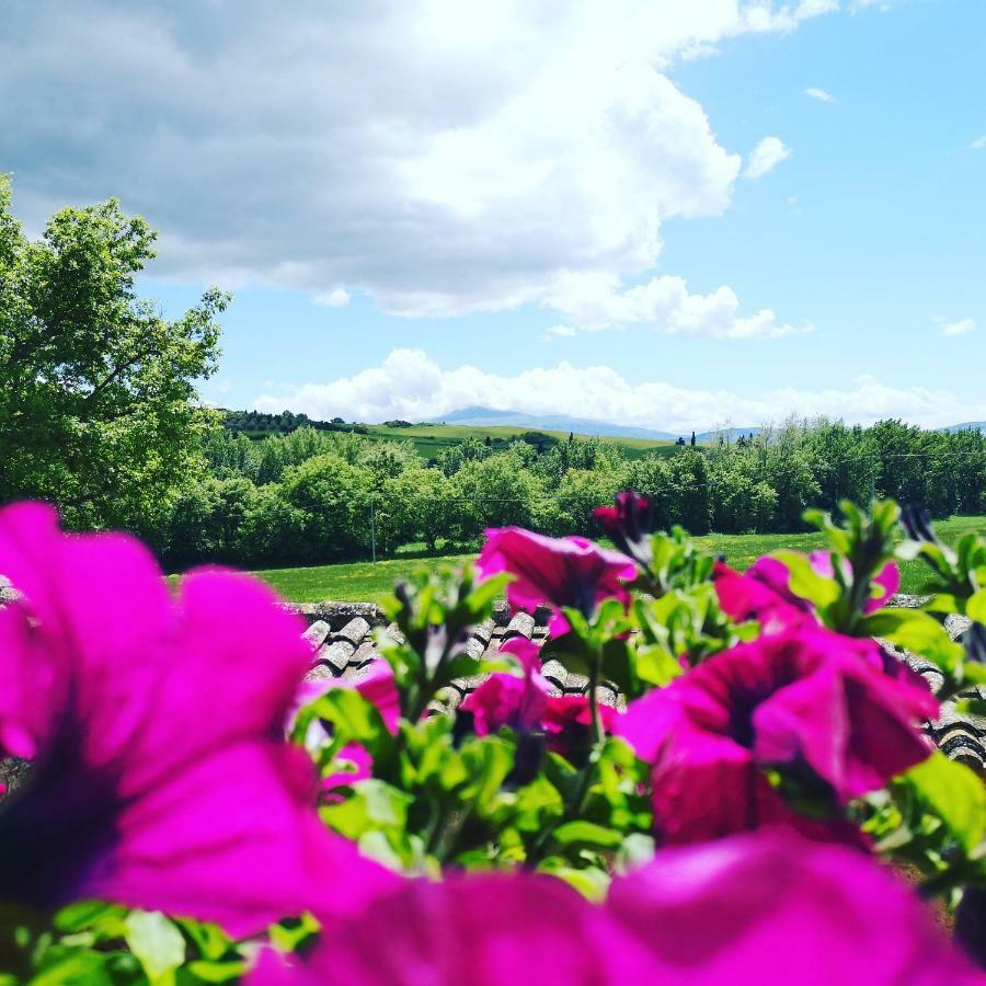 Agriturismo Casalpiano Πιέντσα Εξωτερικό φωτογραφία